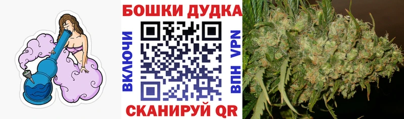 Бошки Шишки сатива  где купить наркоту  Белёв 